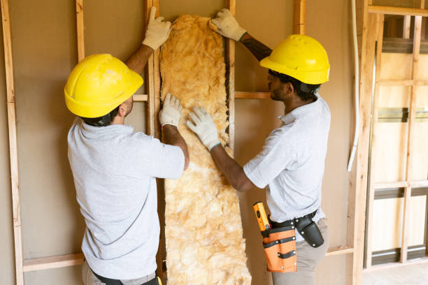 Types of Insulation We Offer in Truckee, CA